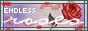 Endless Roses